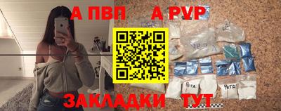 ешки Кингисепп