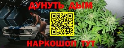 ешки Кингисепп